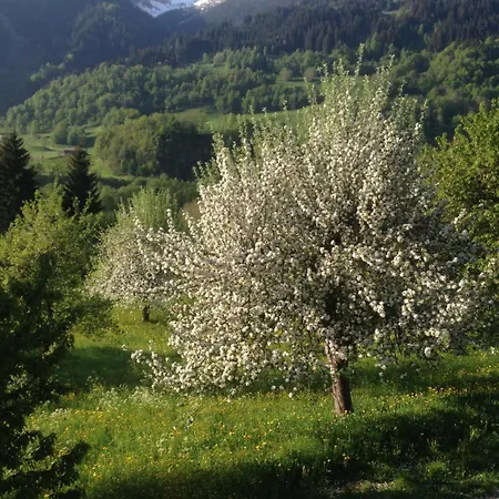 Apartmán Casa Vegana, 3,5 Zi Wohnung, 5 Pl, 2 Baeder *