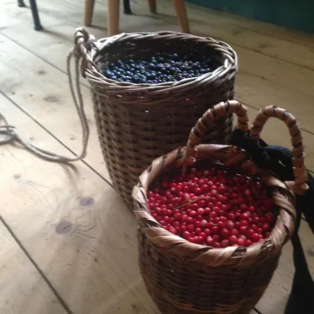 Casa Vegana, 3,5 Zi Wohnung, 5 Pl, 2 Baeder * Trun