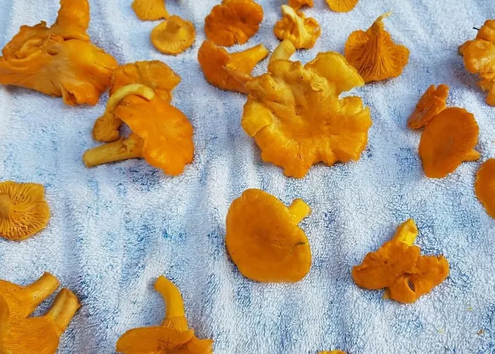 Daire Casa Vegana, 3,5 Zi Wohnung, 5 Pl, 2 Baeder