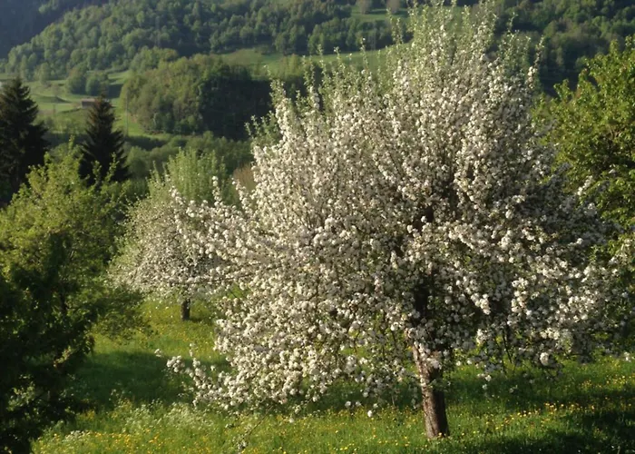 Daire Casa Vegana, 3,5 Zi Wohnung, 5 Pl, 2 Baeder *