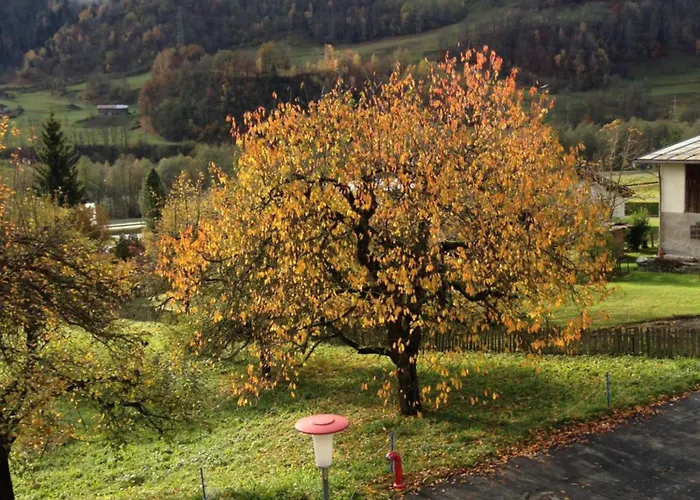 Apartamento Casa Vegana, 3,5 Zi Wohnung, 5 Pl, 2 Baeder Trun