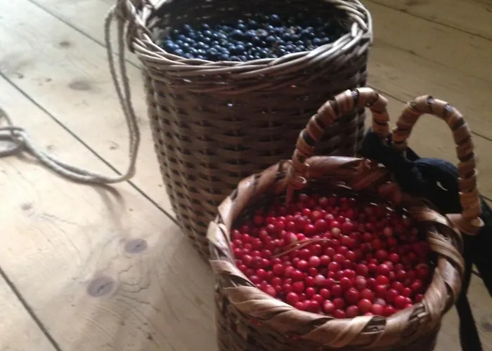 Casa Vegana, 3,5 Zi Wohnung, 5 Pl, 2 Baeder * Trun