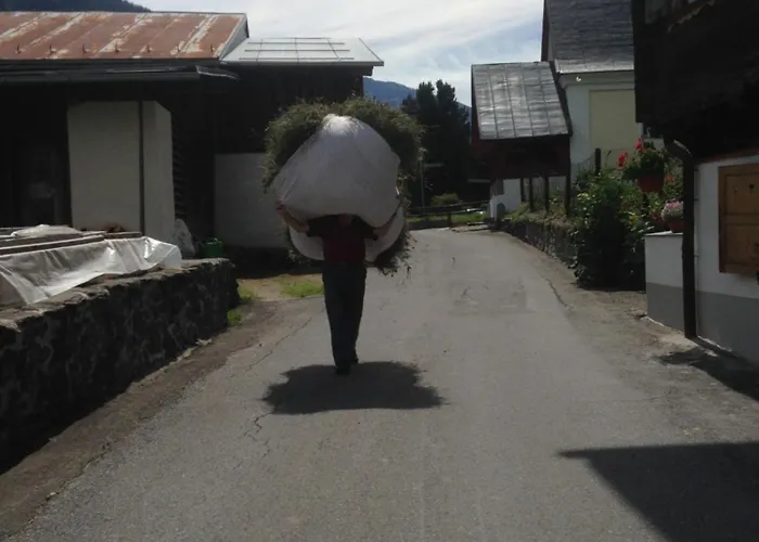 Daire Casa Vegana, 3,5 Zi Wohnung, 5 Pl, 2 Baeder Trun