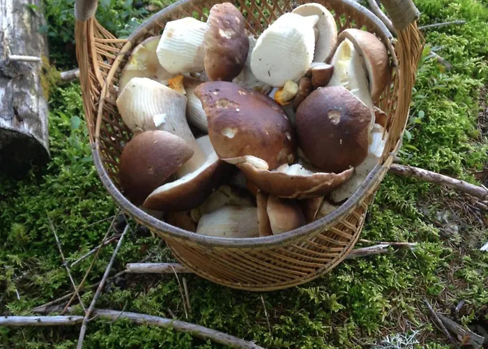 Casa Vegana, 3,5 Zi Wohnung, 5 Pl, 2 Baeder * Trun