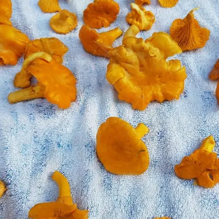 Appartamento Casa Vegana, 3,5 Zi Wohnung, 5 Pl, 2 Baeder