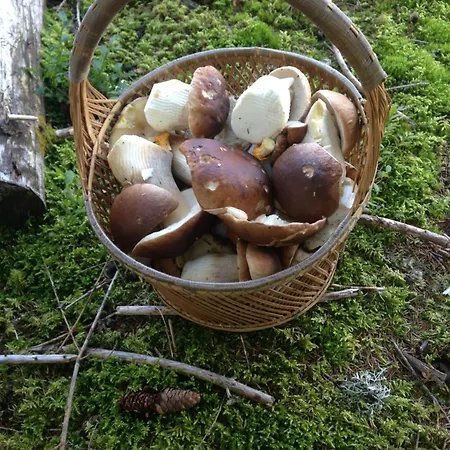 Casa Vegana, 3,5 Zi Wohnung, 5 Pl, 2 Baeder * Trun